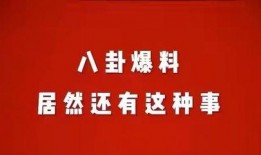 娱乐八怪爆料,明星幕后惊人真相大曝光！